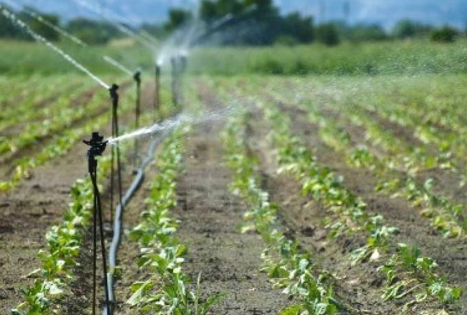 47c4ed44ea7a1b7c909e17af314354dd