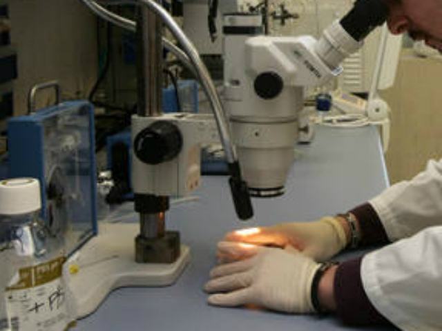 Ricercatori dell'Unical scoprono il ruolo di una proteina per possibili applicazioni nella cura del cancro 56 4a0ad11a668a4a46247414f8e894e909