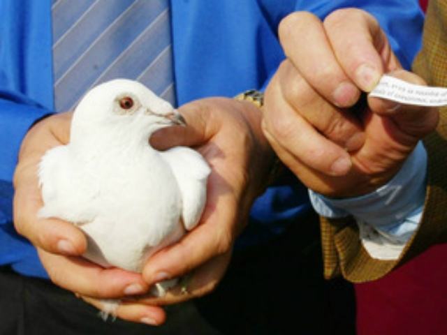 4bcd772eafff4df7a8e35e69615a6046