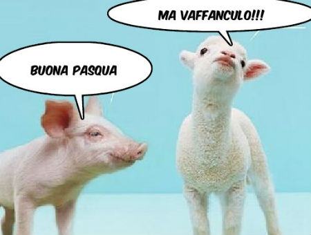 4c67396fa55be6f848c0cec1beb6ed24