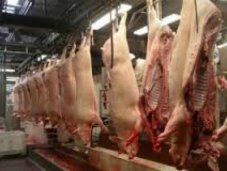 4c6c5534de73d096e951ec322bcd71d8