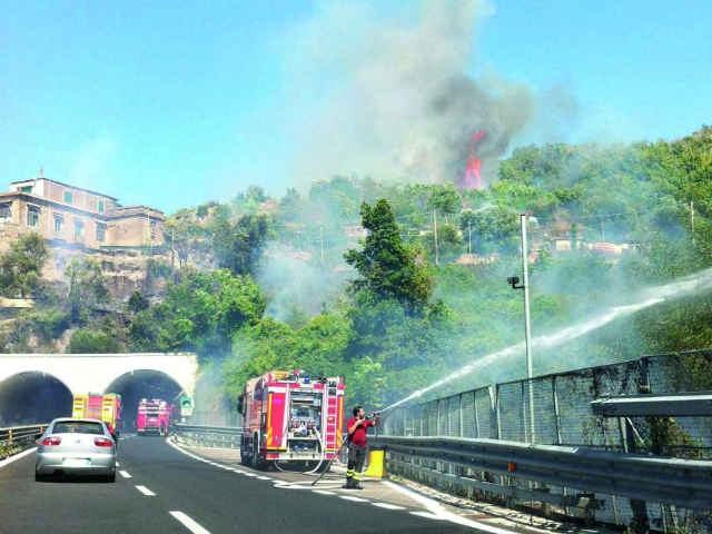 4d88987f531369a4e75e34a63e7ca806