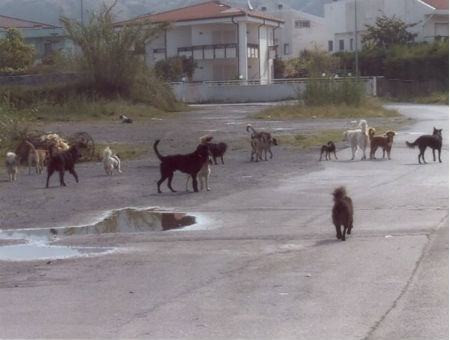 4e20d07a5d559ee9f104eecae038f06e