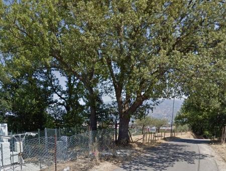 4e3c95f7730fed71a476731632f54ed6