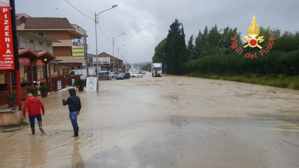 4e5d0c2f 14d9 4e7f b206 0161dddbb319