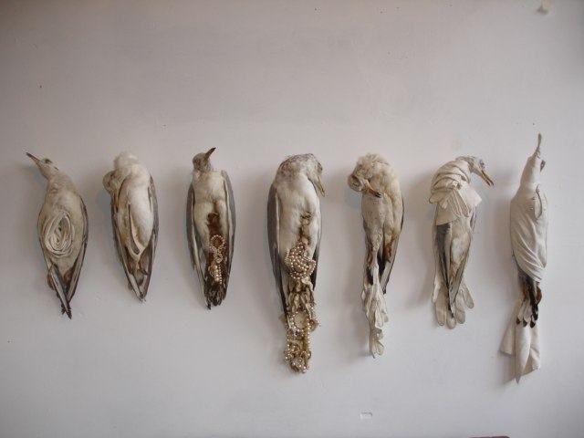 4f5c9e3e6d996291aea3dcbc644267ba