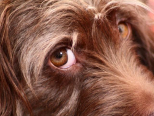 4f7ef1c9de3583543c3077db338910bc