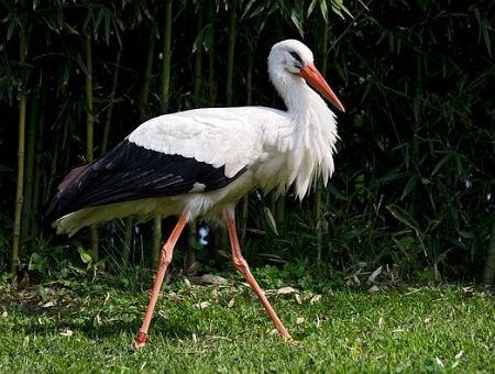 4f95cd85b460d56dd97e76b81ded1a56