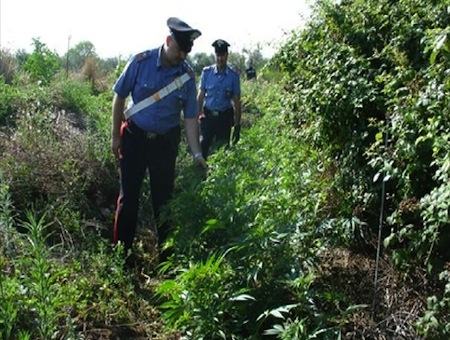 4f9bc7b28e8b6599f2a804add89033f6