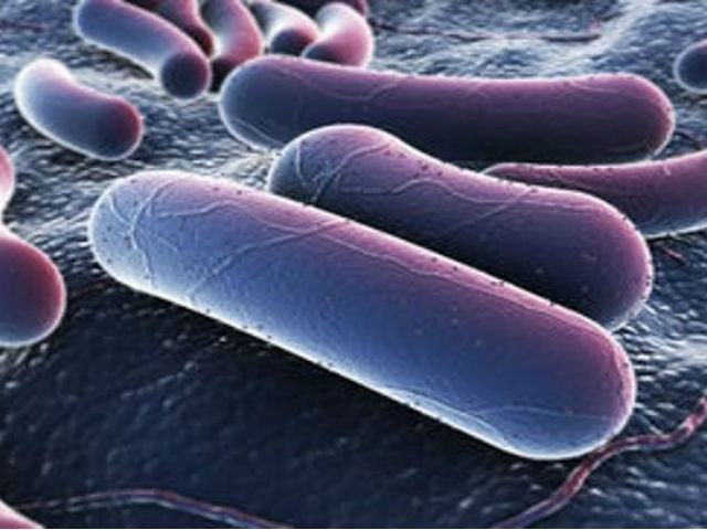 4ffd8c623bcc09269d400a01ea986f52