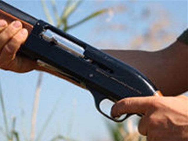 500ea36c9a57dd2a3f6b431393e1621c