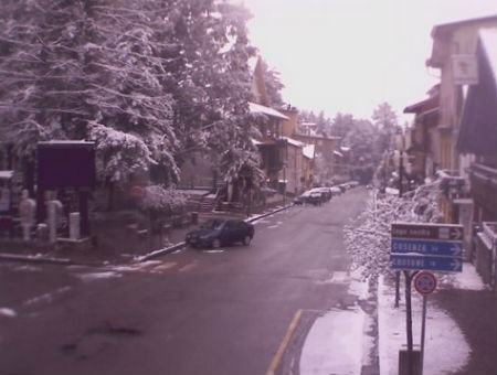 5041a3bbbe7fbd722bff997e988267f1