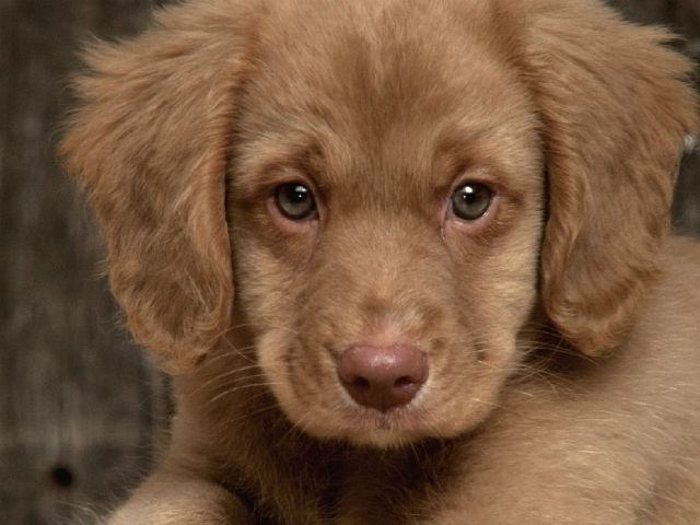 5078d9ff1cffd33ff7766723e8784cc3