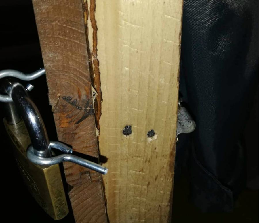 512c90c2 395f 4169 94fc db0dc61ba33a