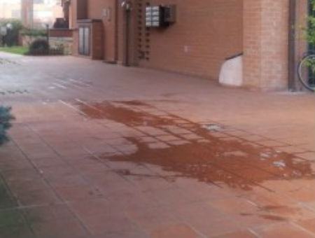 51b526a95497a3a36561ff43780d5fe2