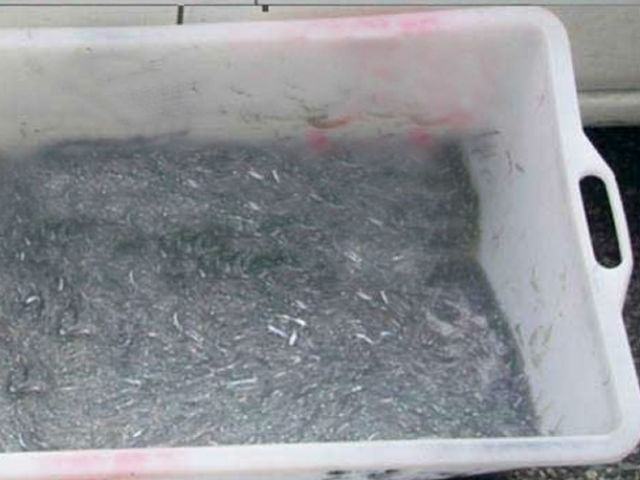 522248195a786cc698a9d08305b13b7f