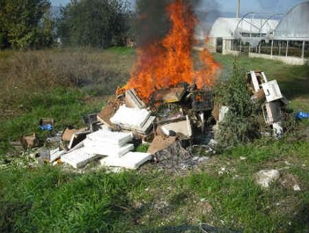 52238d0a0028fa6a306a05a6f822a332