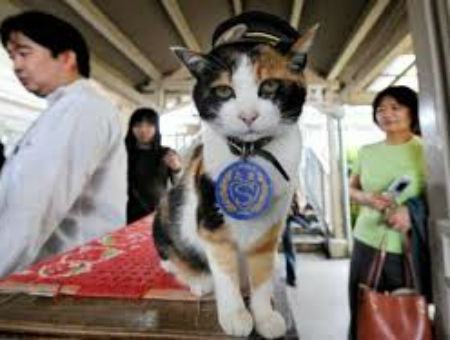 52eb80e12b94803b6473811d2120c01b