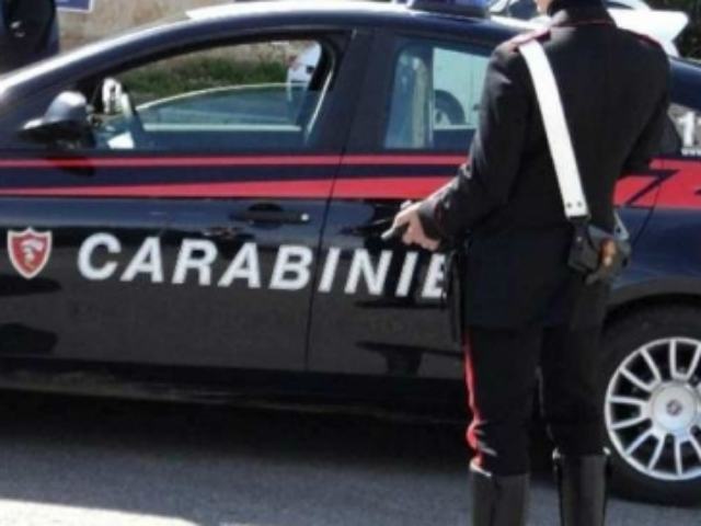 530d5106c31a93a65a7ff71c183428a6