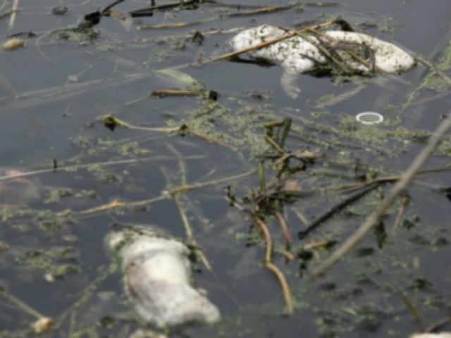 534af319b1120cb88366a34672a2c17d