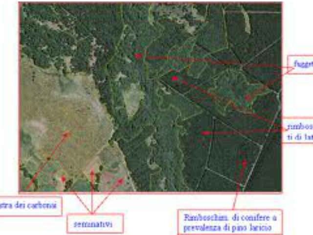 53ad29a2dad1e814392edb47f781ac69