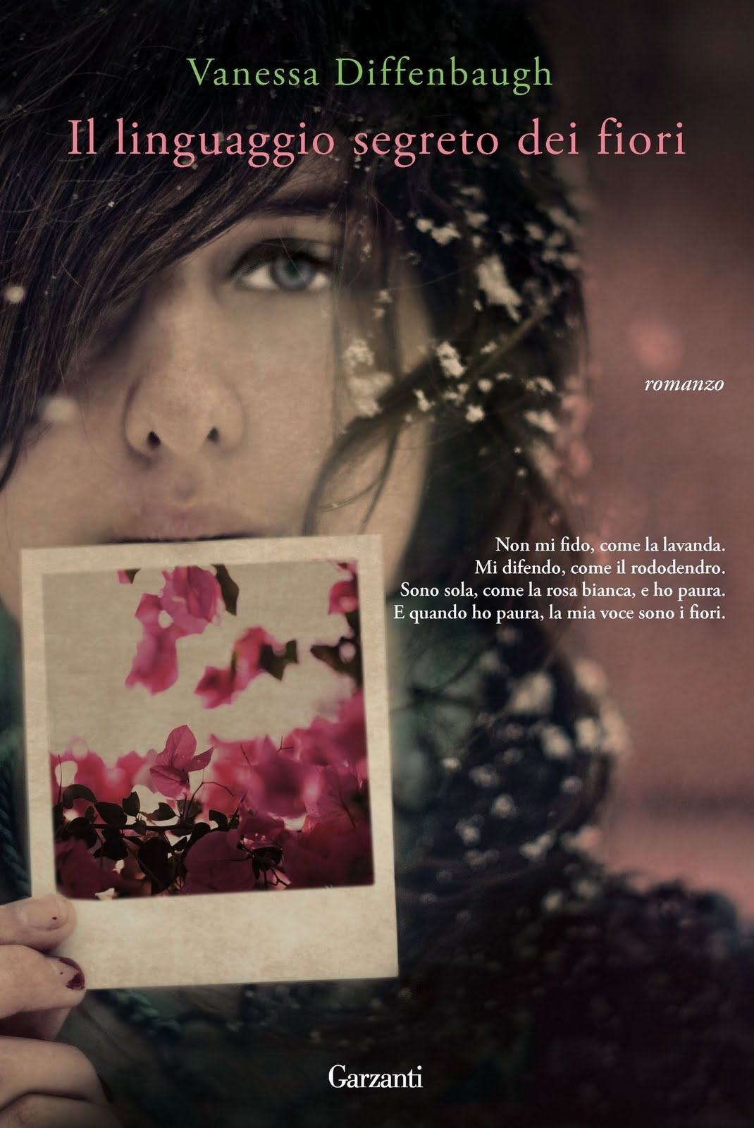 549dfa53895c3908b16352e73edc2d26