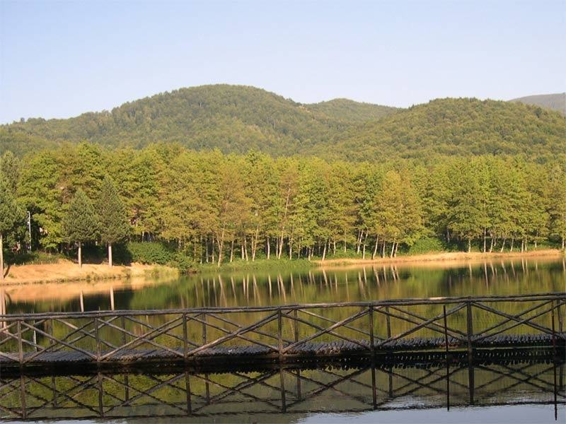 Parco Aspromonte: domani assemblea comunità su bilancio 51 552d4d160dd642f08008c32d33365558