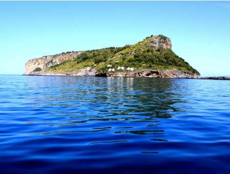 55f5bfb71c4b7b4cda0b7ae749282d54