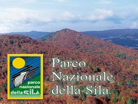 Parco Sila: riconoscimento Unesco, proseguono gli incontri 51 56ca9985f106d0056625a945f2040ec9