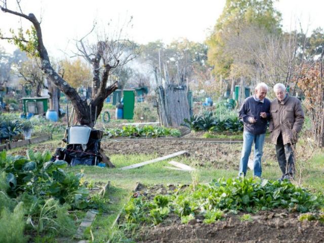 56d6704ee8812a43ec1cb55153023796