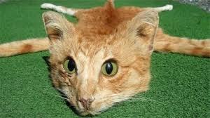 58241bbb4d33cbf489a9f09cbcca2dbf