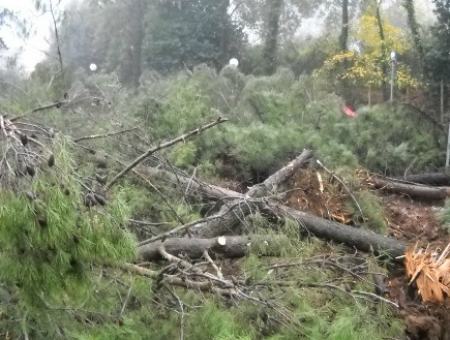 5826ad58afa753e8d5d346c8ac565648