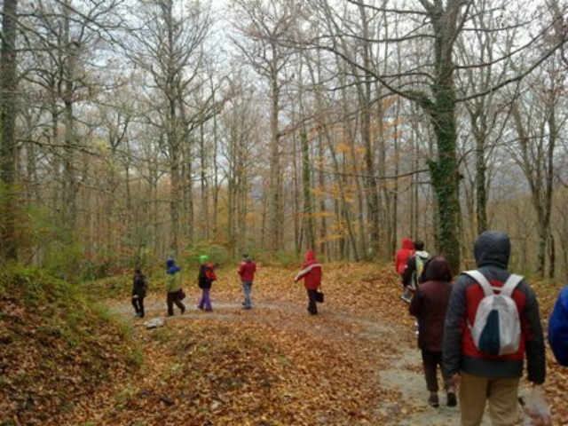 Tour di conoscenza nel Parco del Pollino 51 58669416ce0315bf5c27497c719e2bb6