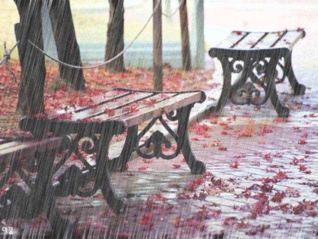 5911c3f930ad658df2dbb7ffa08fc8b0