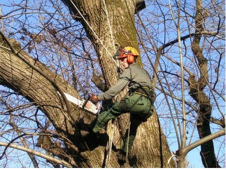 5913b5bbb524082c77e2b97105016c02