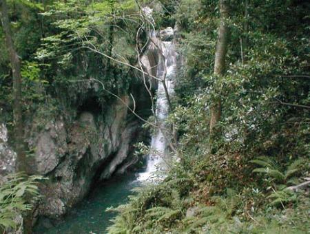 5ab675ad8f42d0536254bed4e4b267bf