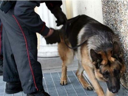 5c9cbfb77aed5ed076486ba651d1ced8