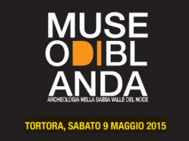 5cf1fa897c8bc56b2242c50b467b3a11