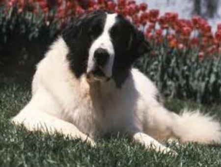 5d12842ef0017057687662eb44296234