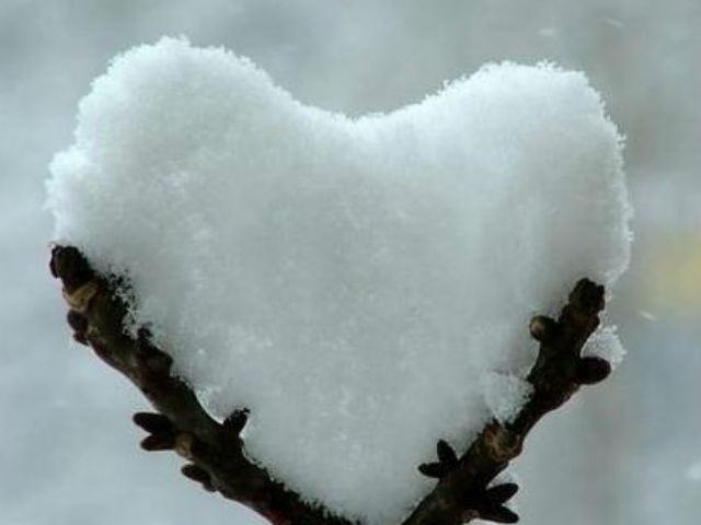 5d7d2a237a4683e5c45b021802a448c4