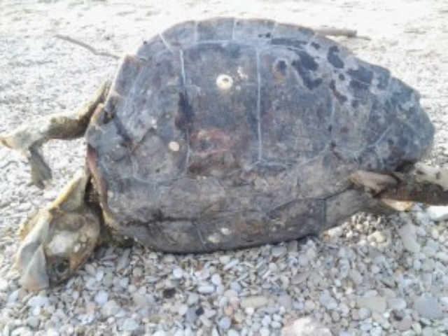 5dbbb736f5005c55b7eda291169d81fb