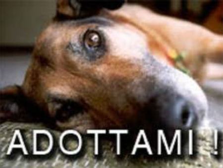 5e4eb9efd53f57d5716e5aeb42d5c259