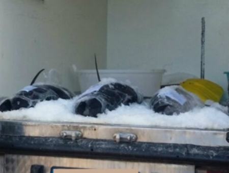 5e959a4f956f3f9e38e84865169956c2