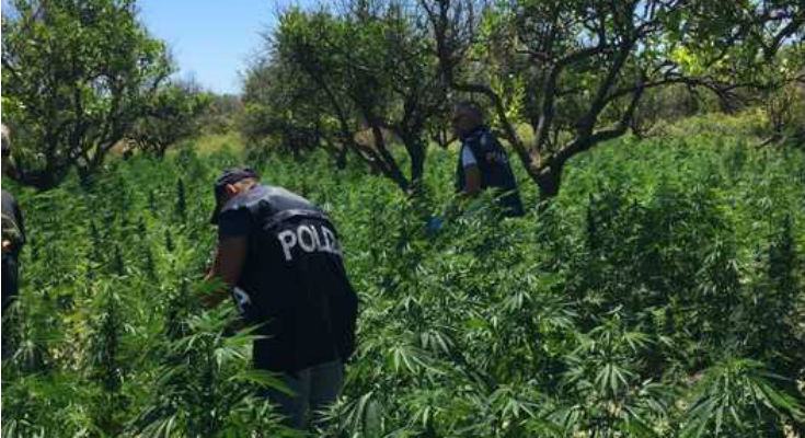 5ed2c5f480ffa00f0cb30d8a4a61e0d7 1