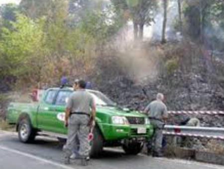 5f29304d27a31cc6a2bf7cf9b0db96ed