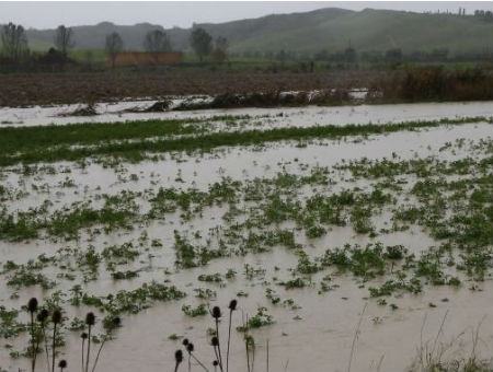 5f55b622d677cc3d25542875864838ef