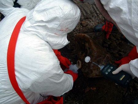 5fdce5352b70721645b963d1bbfa9b44