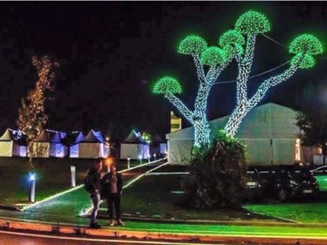 615944e4c2206eaaf902a204a80d4bf6