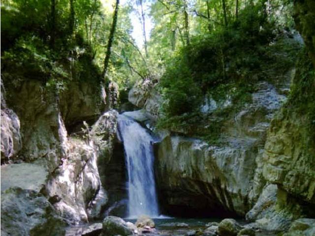 61cf21672b1e590d9206ce7eec804997