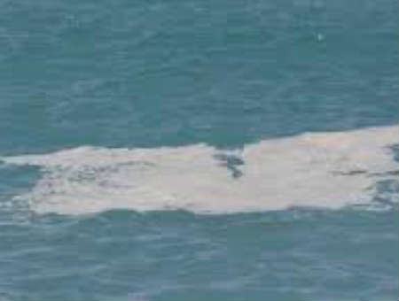 624a8baeec37fb5ef4fca91463943ae1